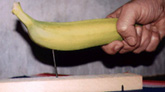 Банан, охлажденный жидким азотом, вполне можно использовать вместо молотка